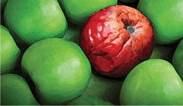 spoiled red apple among green apples